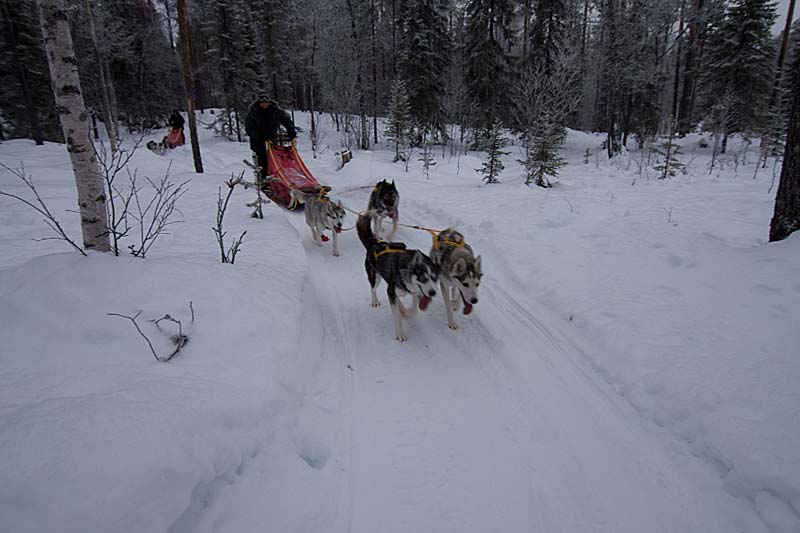 Lapland trails! Sometimes technical trails.