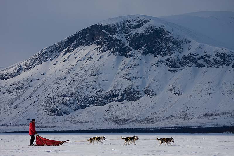 Roland with his dog team on Sitojaure lake.