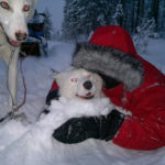Lucas and husky Viktor became good friends. Both crazy in snow.