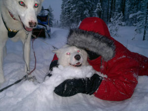 Lucas and husky Viktor became good friends. Both crazy in snow.
