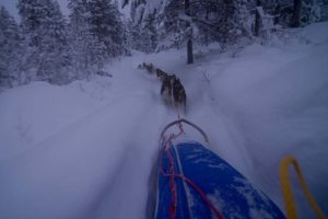 Dogsledding along heavy trails with lots of snow.