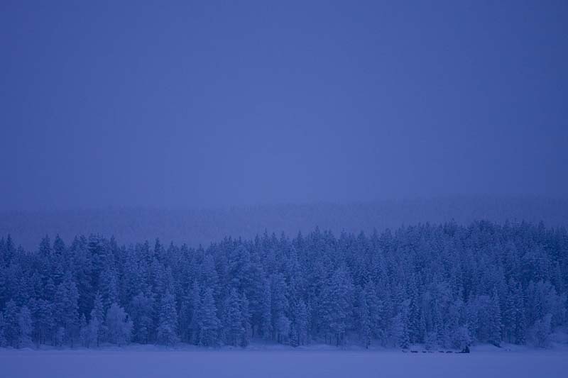 The famous blue light in winter. Can you see the dog team?