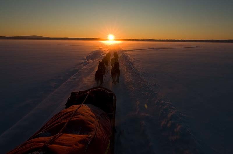 "In to the sun set with our dog teams like the cowboys always have done.