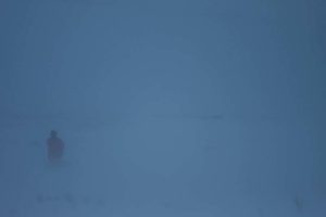 Snowstorm and dogsledding in Sarek National Park, Swedish Lapland.