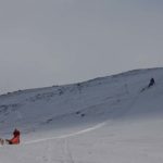 The sleddog teams driving down a slope between Hukejaure and Sälka.