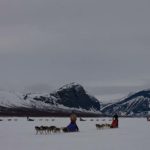 All the dog sled teams coming in for parking by the Sitojaure cabin.