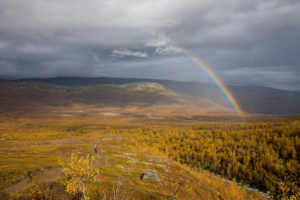 Rainbow over the colored birch forrest. South from Abiskojaure.