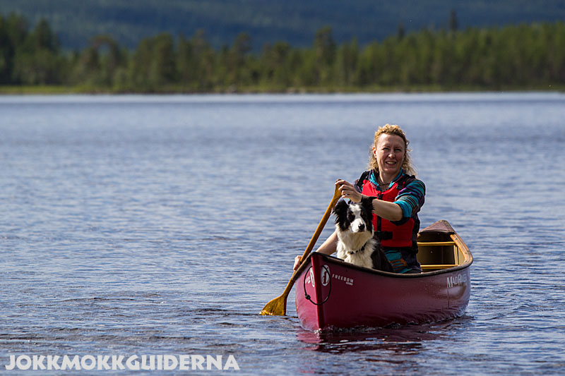 In the canadian canoe there's room for a dog. Stina with the Border Collie Issa. Lake Purkijaure.