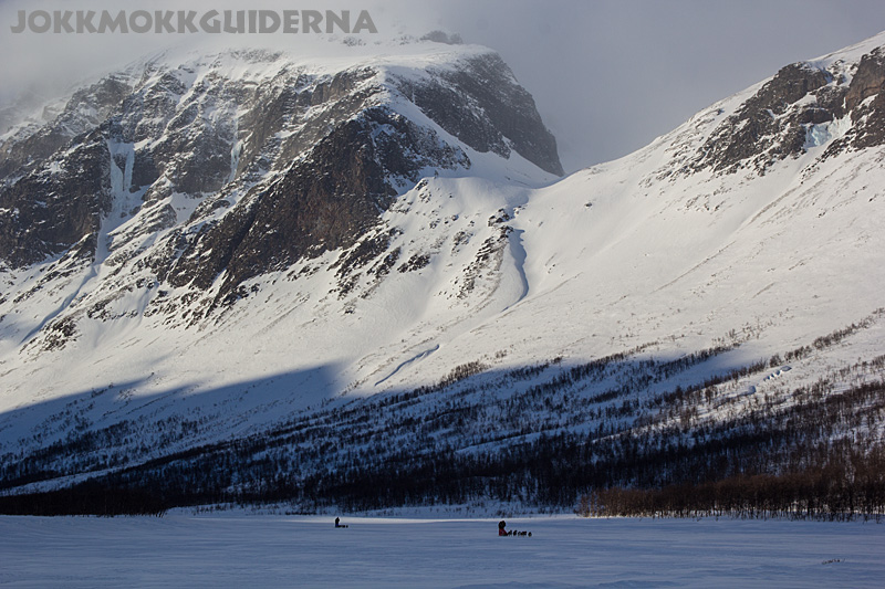 The dog teams are working their way along the Rapa Valley in Sarek National Park.