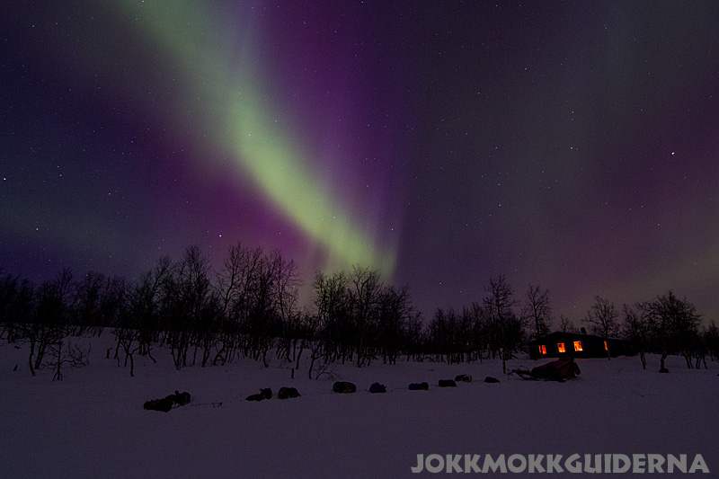 Clear nights with the aurora is a bonus that we get to experience surprisingly often.