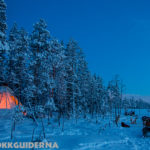 Short tours with dog sled Tipi tent midwinter in Swedish Lapland