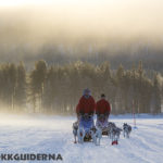 Winter dogsledding adventure in Jokkmokk