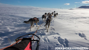 Dog team heading up on the bare mountain.