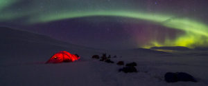 Northern lights, hilleberg tent, sled dogs in the mountains of Kebnekaise.