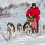 true happines to drive dog sled in the mountains. With dog sled to the Gate of Sarek National Park