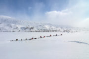 The dog teams take a short break during the dog sled trip called With dog sled to the Gate of Sarek National Park