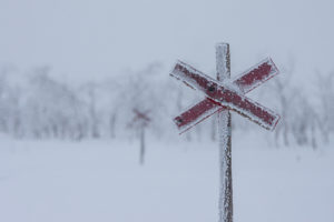 Winter trails trail crosses red X at the top. Picture from the dog sled trip: With dog sled to the Gate of Sarek National Park.