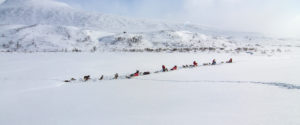 With dog sled to the Gate of Sarek National Park