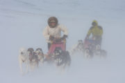 two dog teams in snowdrift on the expedition Explore Sarek National Park.