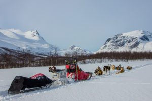 Skunk dog sled and dog team. Photo from tour Explore Sarek National Park.
