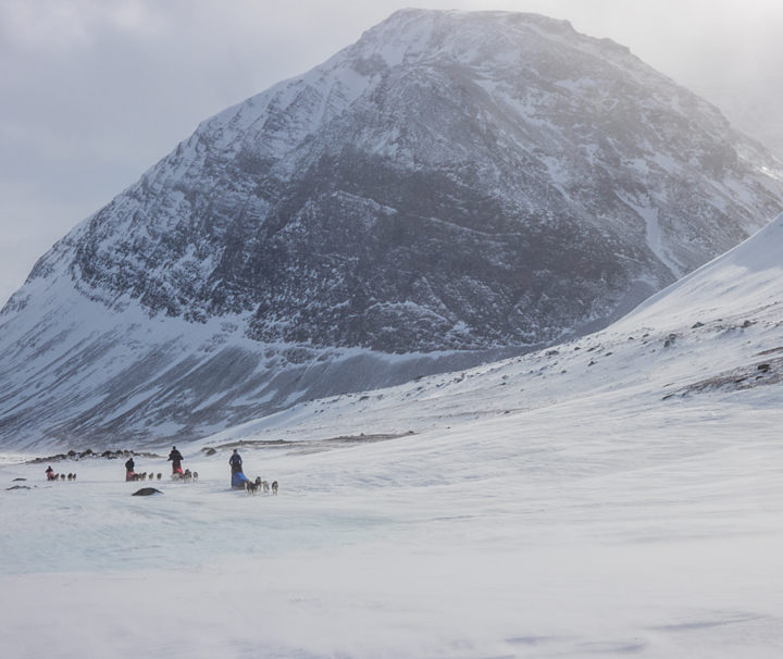 Dog teams in the center of Sarek. Picture from the expedition tour Explore Sarek National Park.