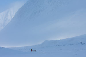 A dog team in a valley in Sarek. Image from the tour Explore Sarek National Park.