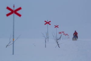 Swedish mountains in winter and red cross trail markers. Dog sledding tour in Lapland.