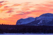 Pink sky over the mountains in winter in Lapland. Picture from a dog sledding tour.