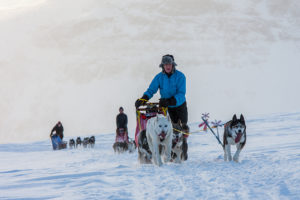 Bare mountains and sled dogs along the Kings Trail. Dog sledding tour.