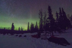 Northern lights on the dog sledding tour called Crossing Lapland with dog sled.