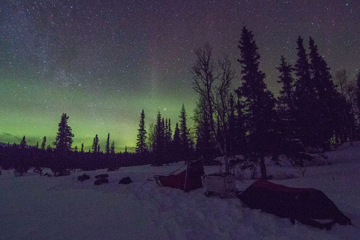 Northern lights on the dog sledding tour called Crossing Lapland with dog sled.