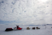 Hundspann på kalfjäll i Lappland. Vårens sista hundspannsäventyr.