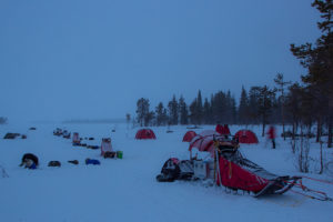 Dog teams, dog sleds and Hilleberg tents on The Final Spring Adventure.