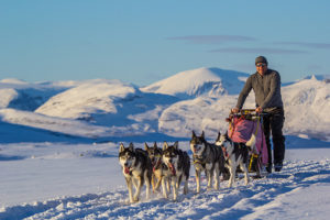Dog sledding in the mountains Sweden. Picture from the tour A Taste of Sarek National Park
