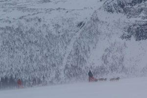 2 dog teams in the swedish mountains on the adventure A Taste of Sarek National Park