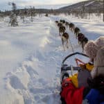 Husky tour in Jokkmokk Swedish Lapland