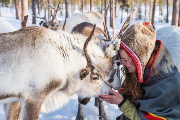 Anna Kuhmunen med sina renar.