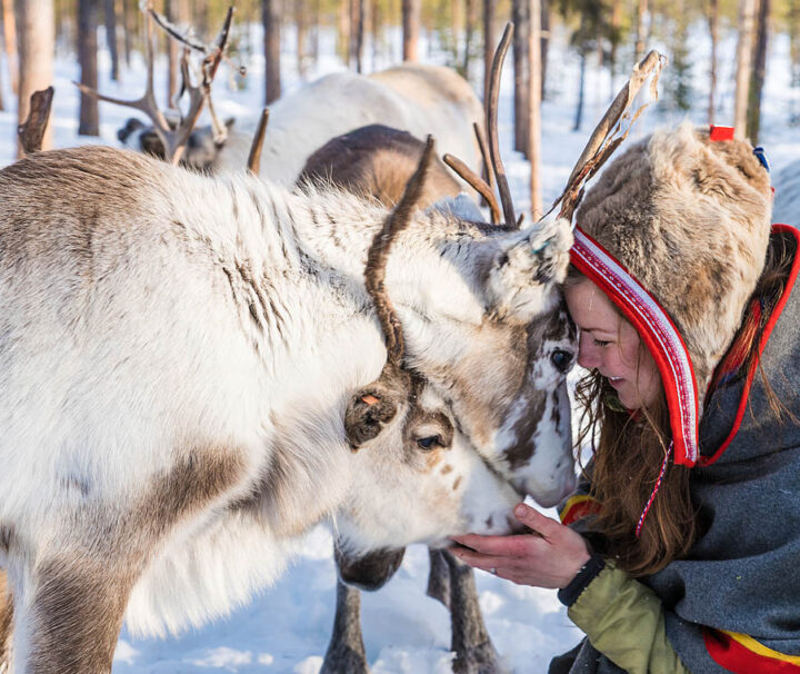 Meet with Anna Kuhmunen and her reindeers at Jokkmokk Market. The Gems of Jokkmokk Winter Market.