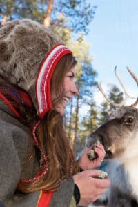 Sami culture and reindeer at the Arctic circle. Silba Siida.