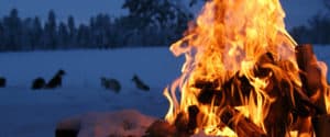 A fire and sled dogs. Dog sledding adventure and northern lights.