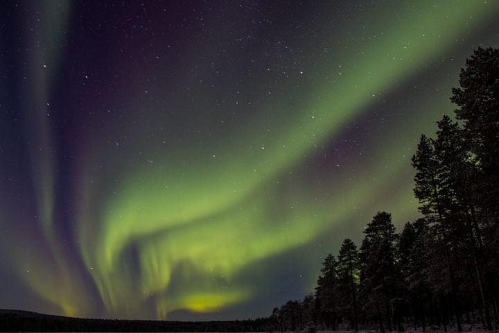 Spectacular Northern lights in Jokkmokk.