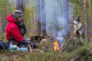 Fire and huskies, coffee break in the forest in autumn.