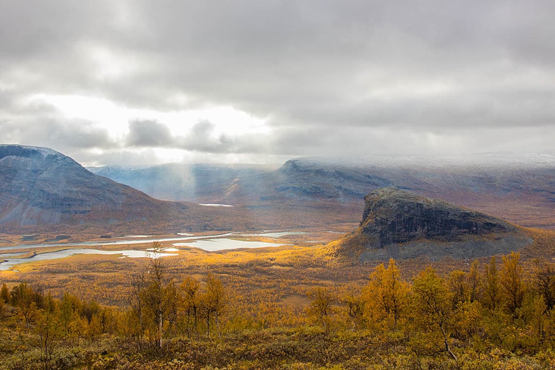 Wildlife Expedition In Sarek National Park Jokkmokkguiderna