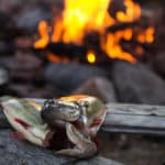 Fresh caught perch by fire on the tour Canoe adventure in the Pearl River Nature reserve.