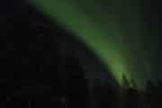 Aurora Borealis on the night sky on a dog mushing adventure in Lapland.