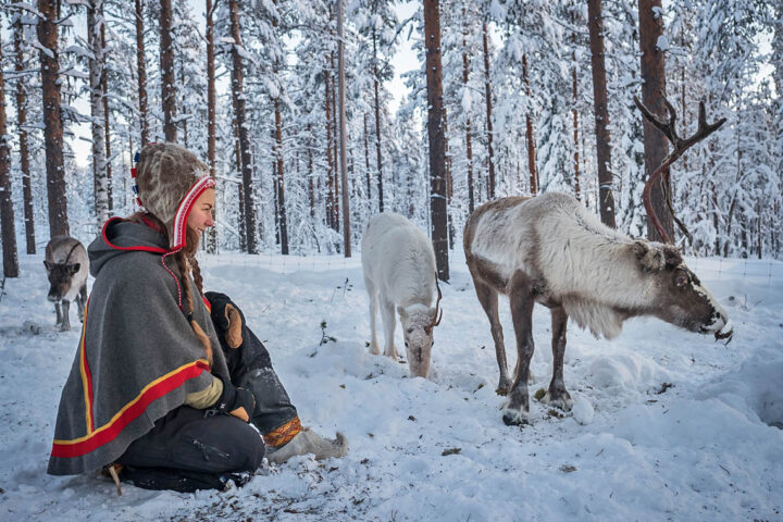 Sami culture and reindeer at the Arctic circle