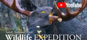 wildlife expedition movie
