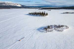 hundspannsäventyr Höga Fjäll & Djupa Skogar jokkmokk