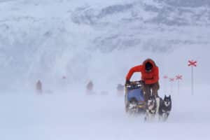 hundspannsäventyr i snöstorm