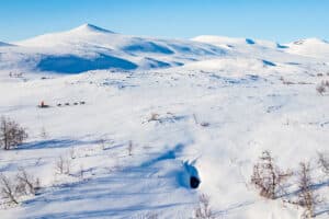 ett hundspann på kalfjället på ett hundspannsäventyr